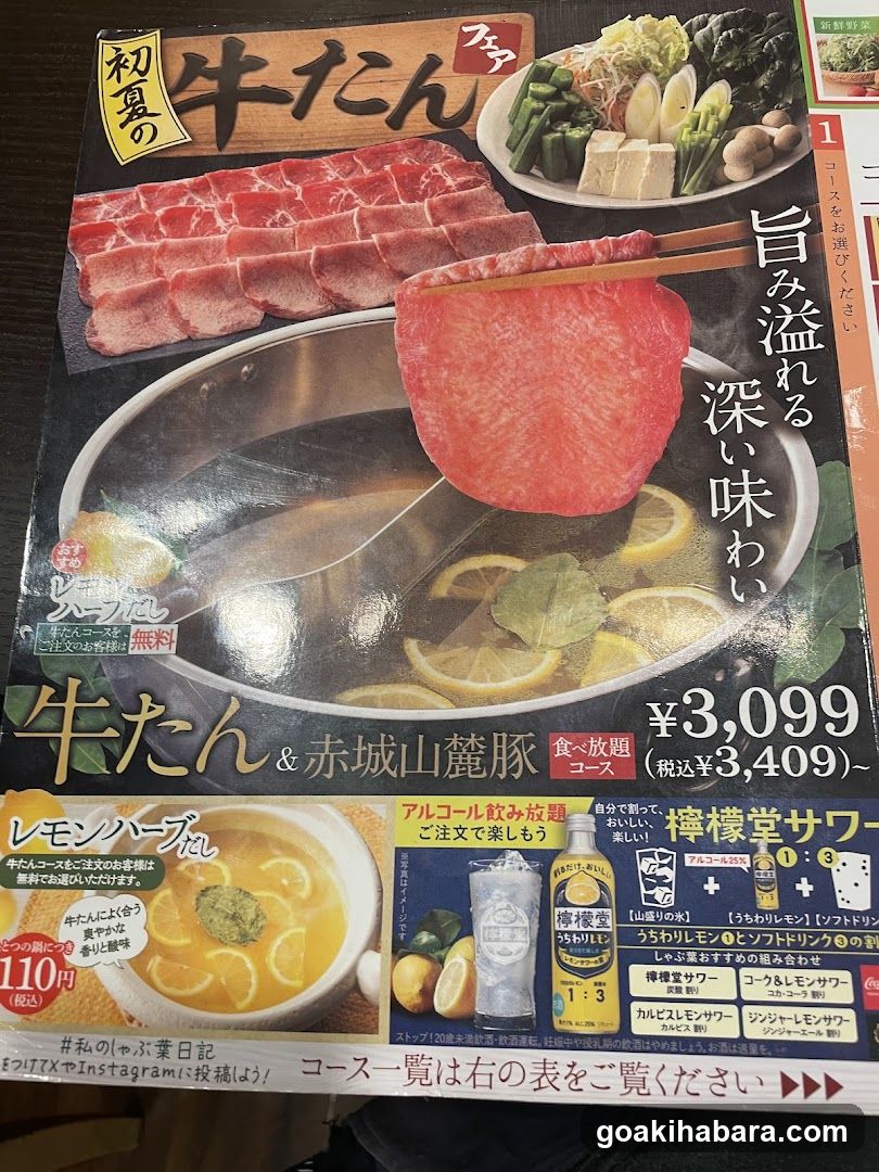 Japanese Hot Pot Menu Flyer