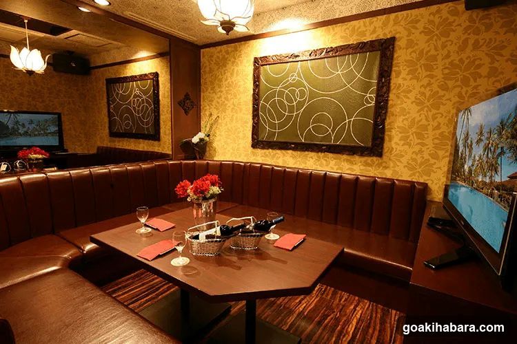 Private Karaoke Room Interior