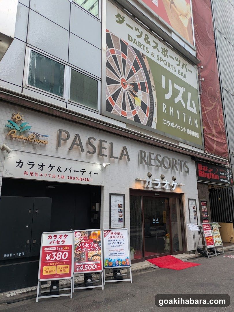 Karaoke PASELA