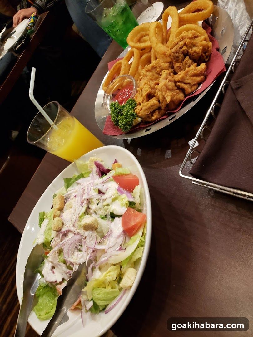 Fried Chicken and Salad Meal