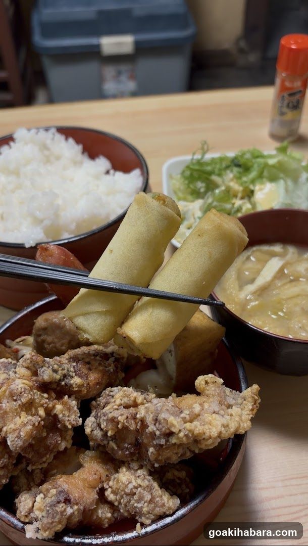 Fried Chicken and Spring Rolls Meal