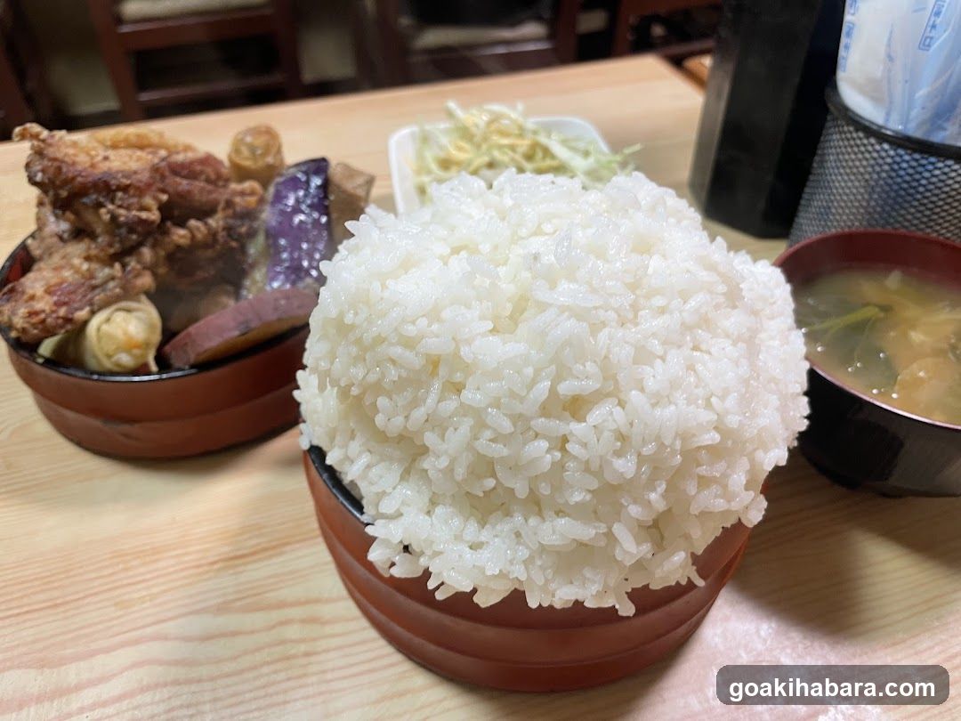 Japanese Rice Bowl Meal