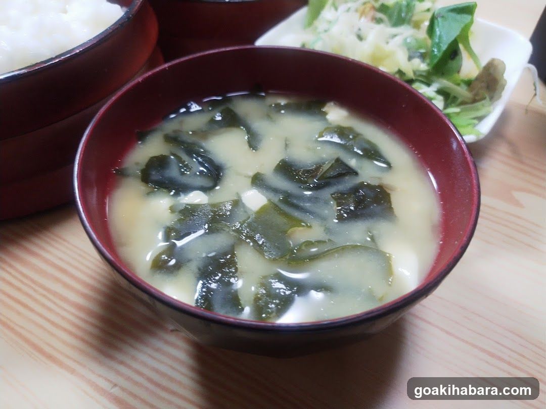 Kelp Soup Bowl