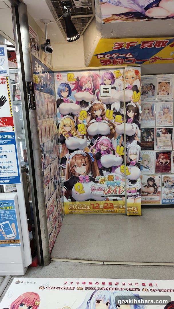 Anime Game Store Entrance