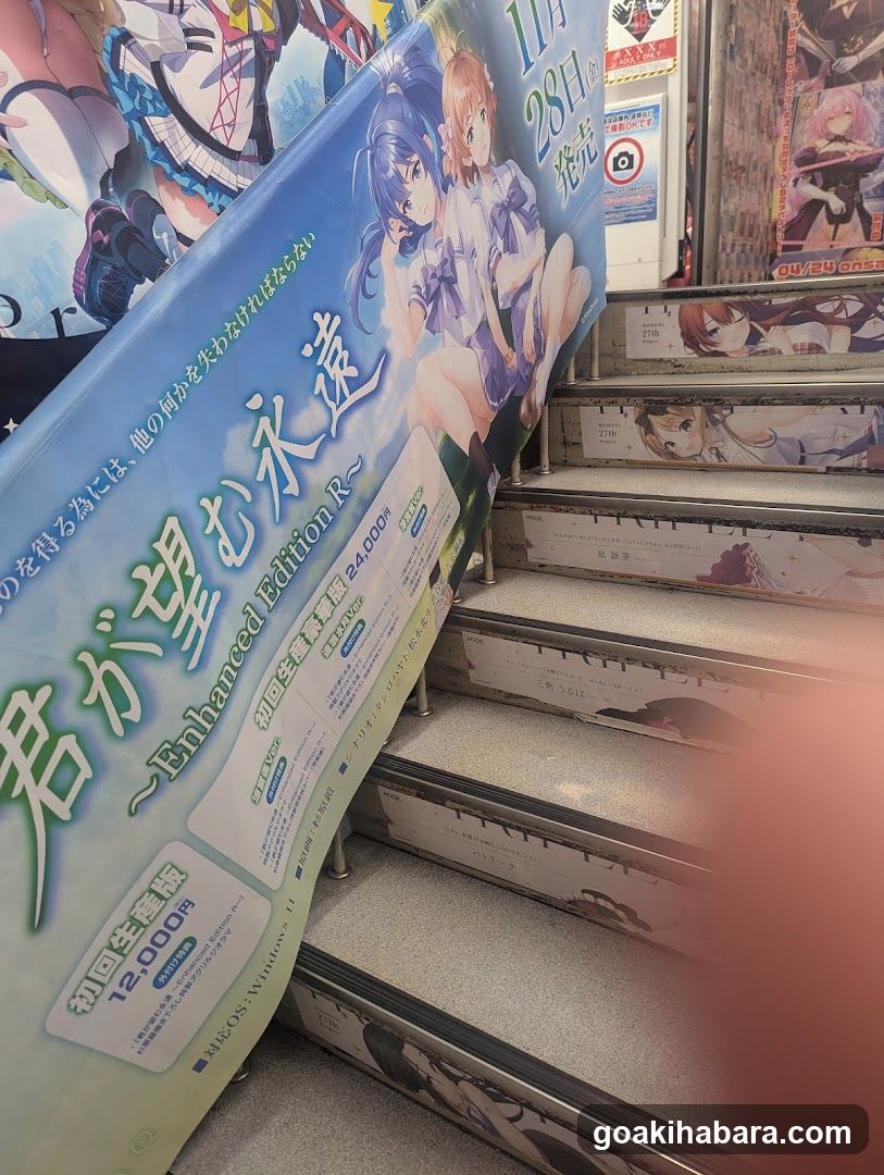Anime Poster on Staircase