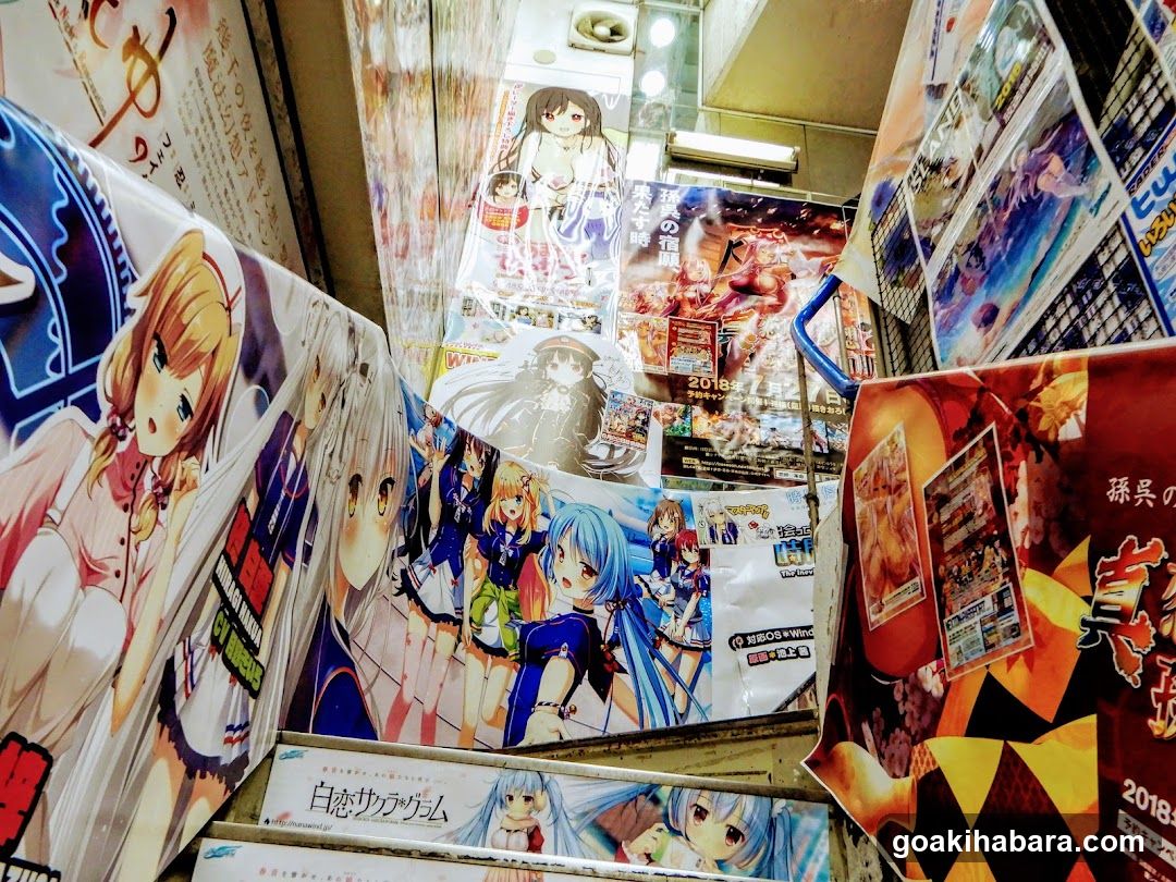 Anime Poster Display