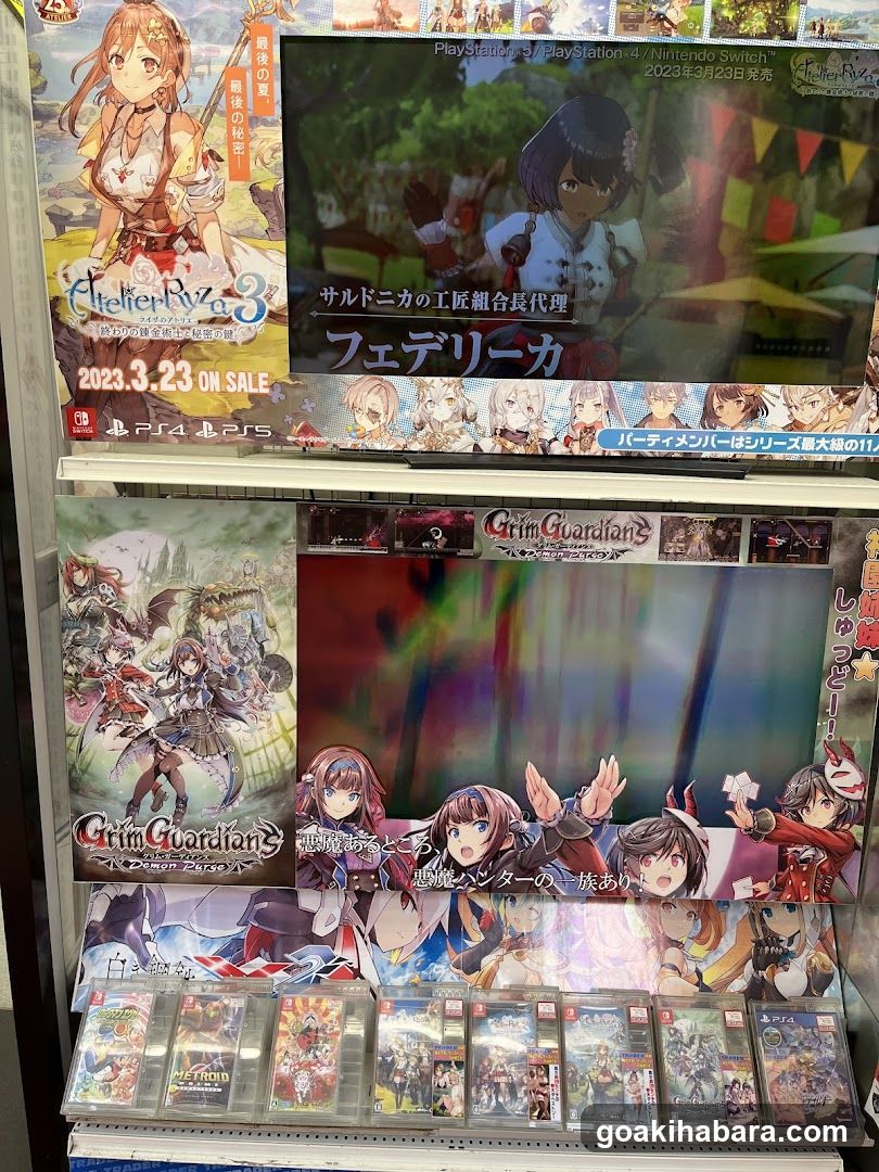 Video Game Store Display Shelf