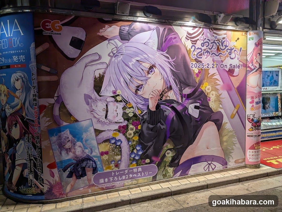 Anime Merchandise Store Exterior