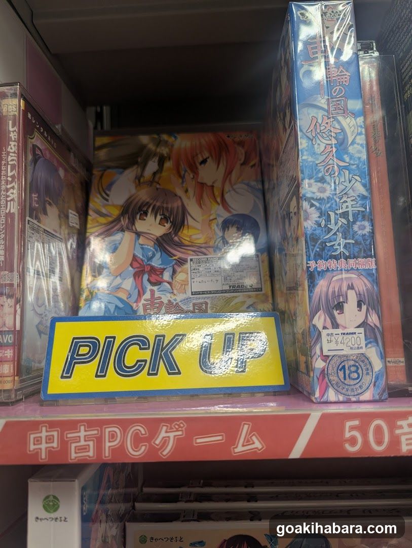 Used PC Games Shelf Display