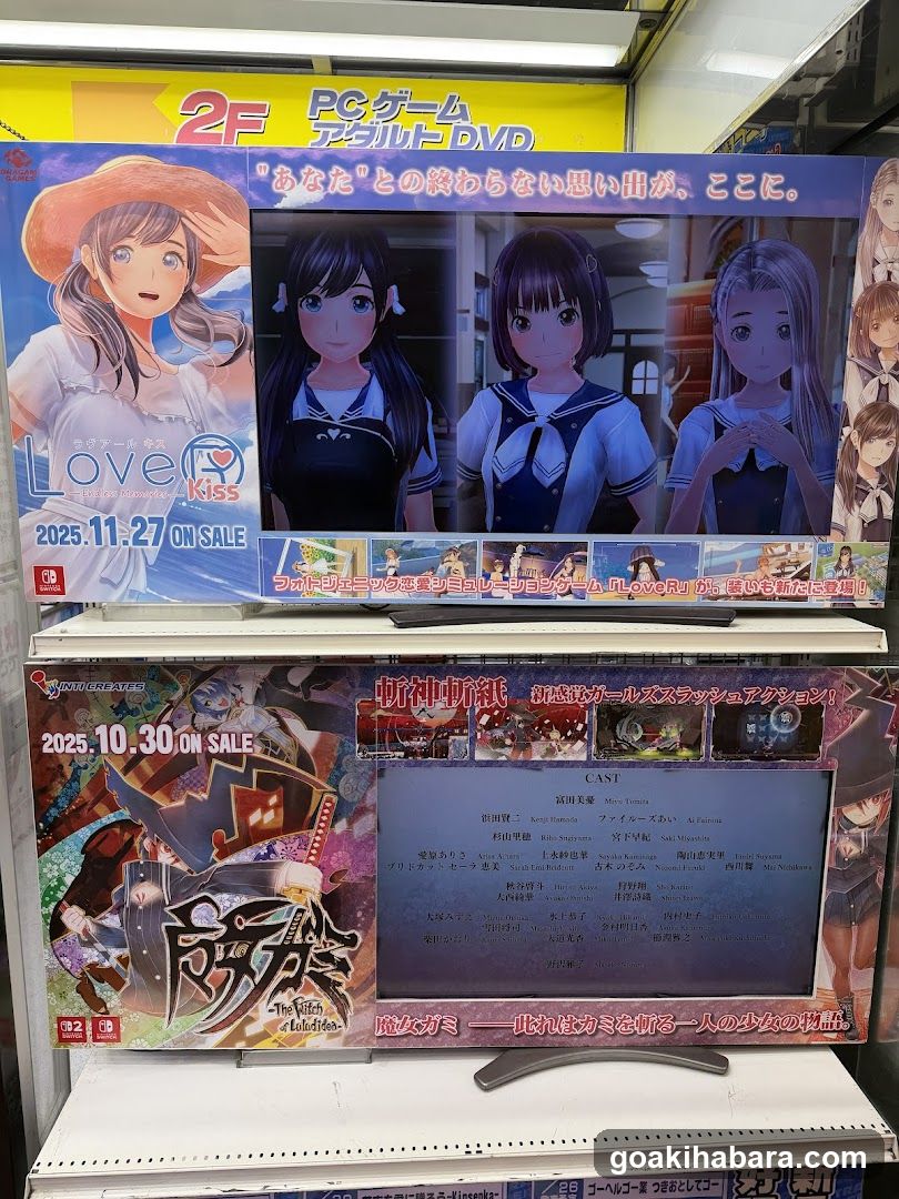 Video Game Store Display