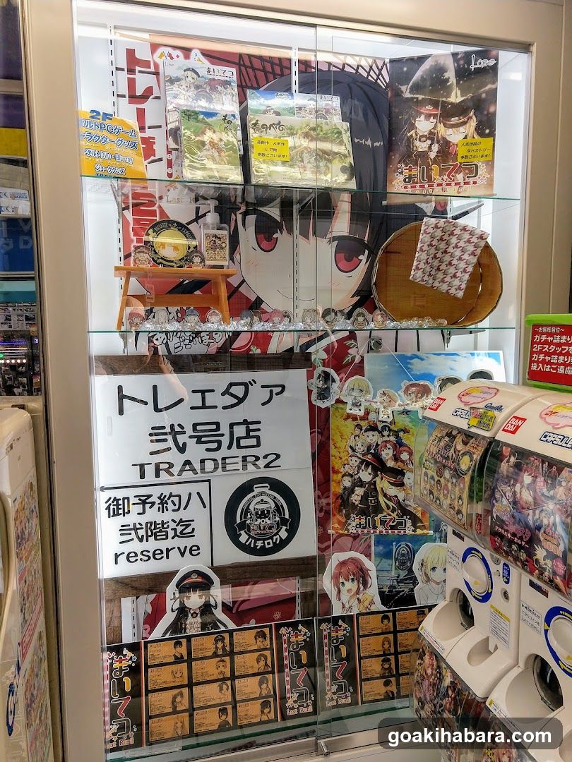 Anime Merchandise Display Case