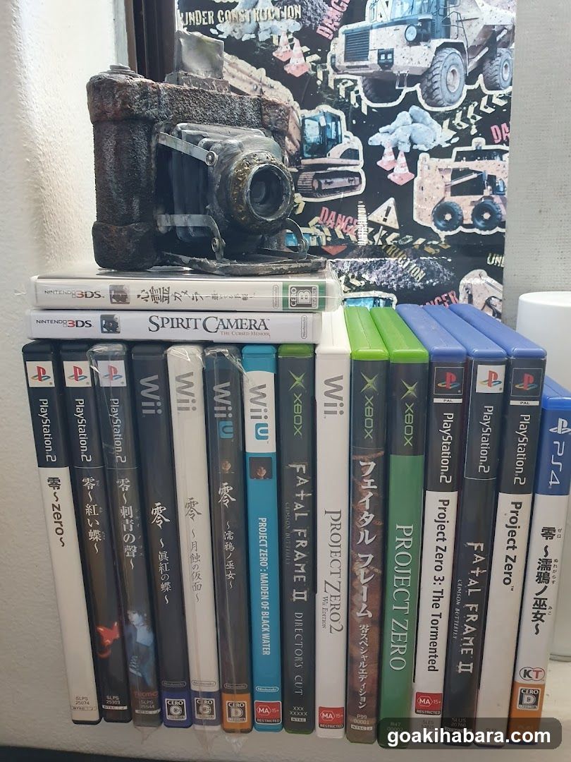 Video Game Collection Display