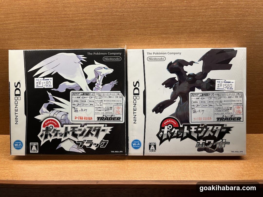 Pokemon Black and White Game Cases