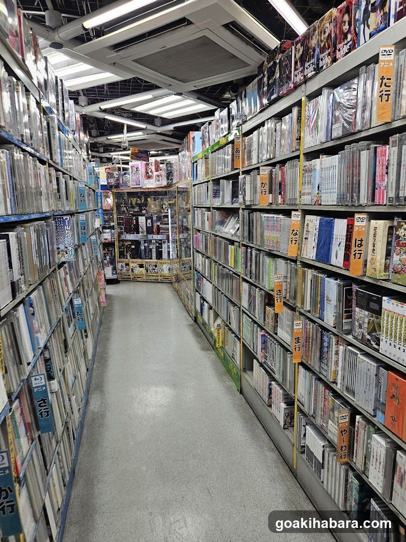 DVD Store Interior
