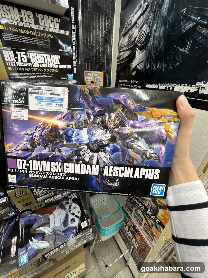 Bandai Model Kit Display
