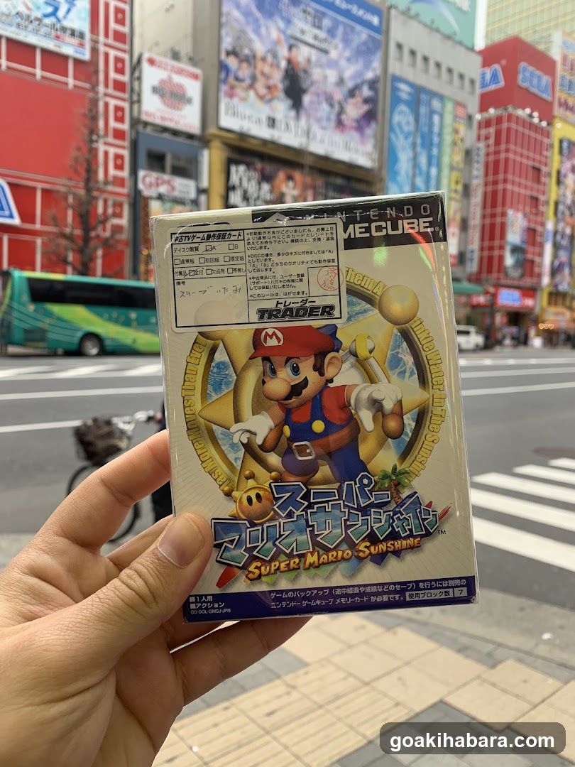 Super Mario Sunshine Game Case
