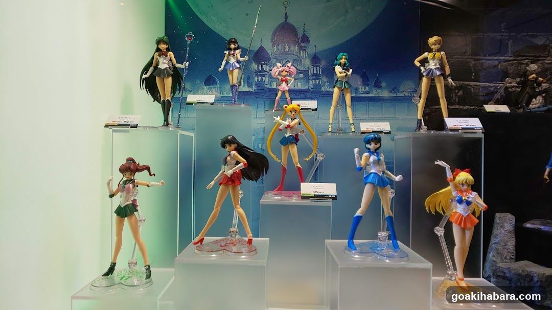 Sailor Moon Figure Display