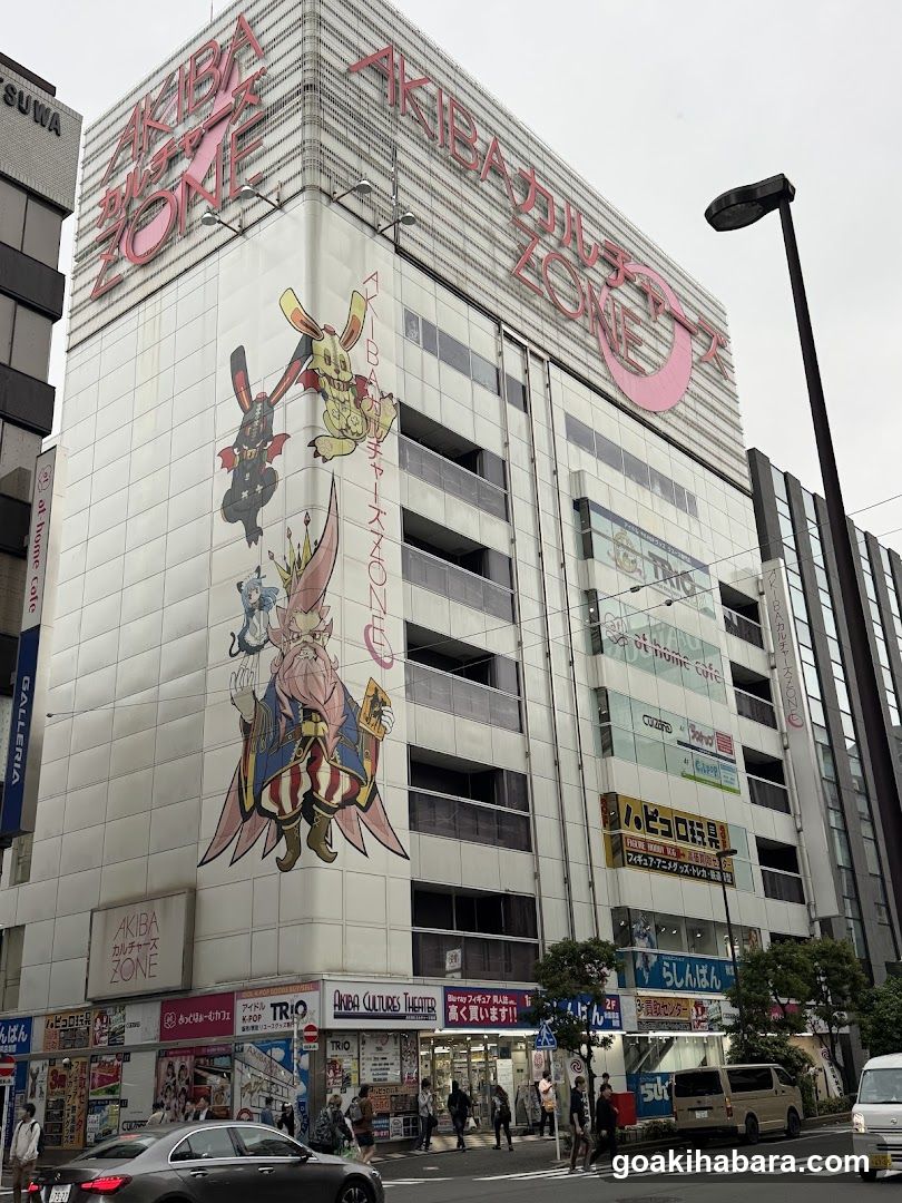 Akiba Culture Zone Building Exterior