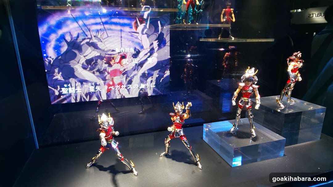 Saint Seiya Display Case