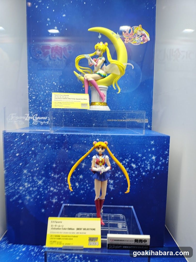 Sailor Moon Figure Display