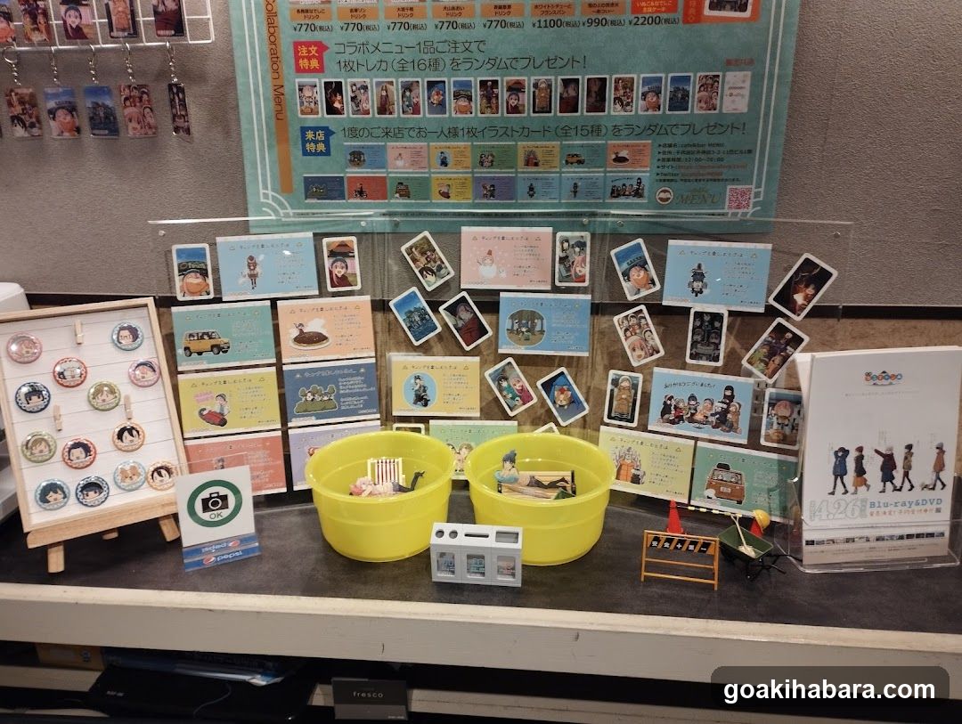 Merchandise Display