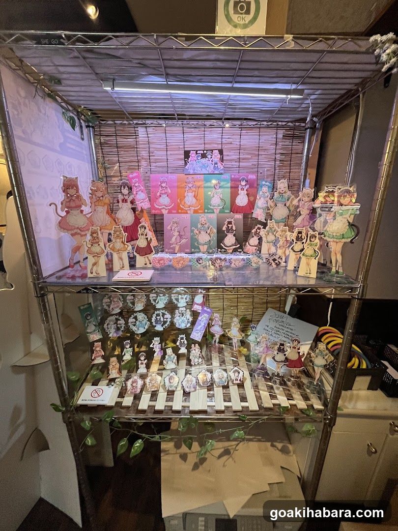 Anime Merchandise Display