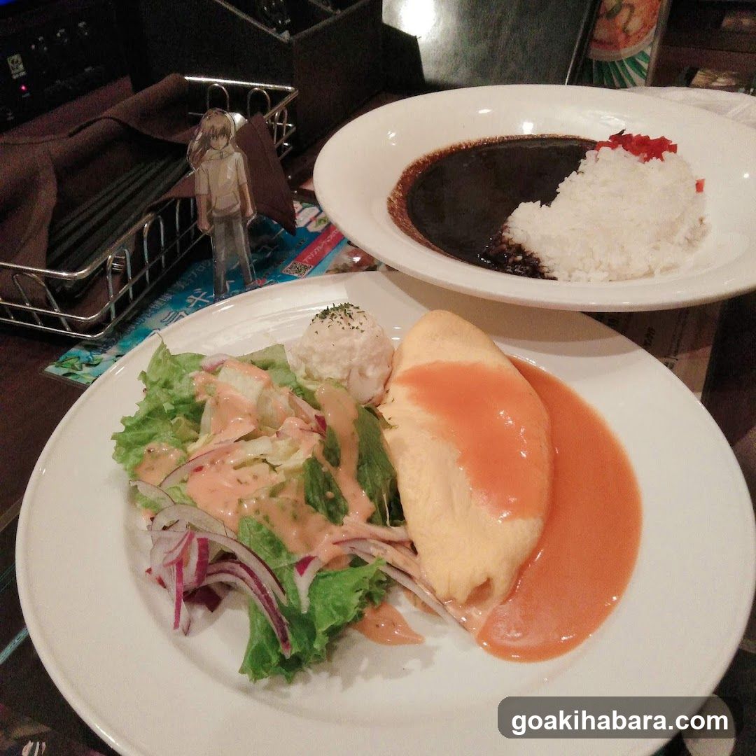 Omelette Rice and Salad