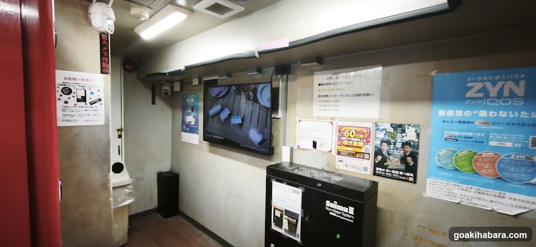 Interior Wall Display with TV and Posters