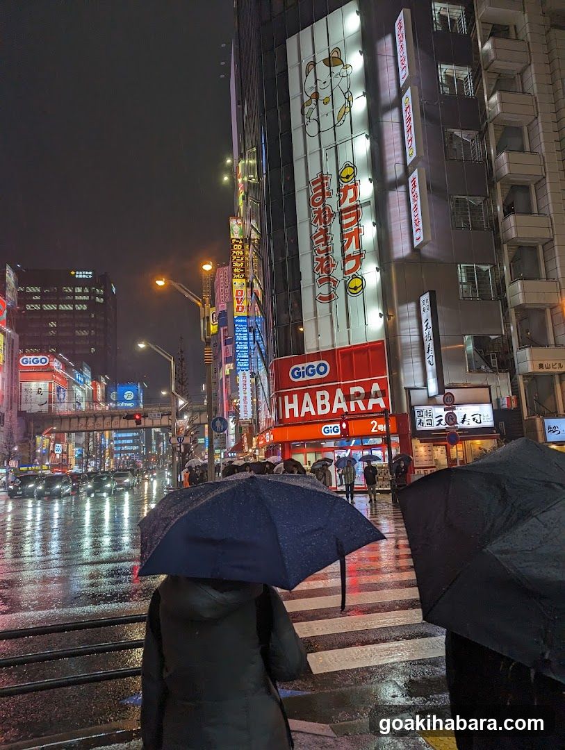 Rainy Night Street Scene in Japan
