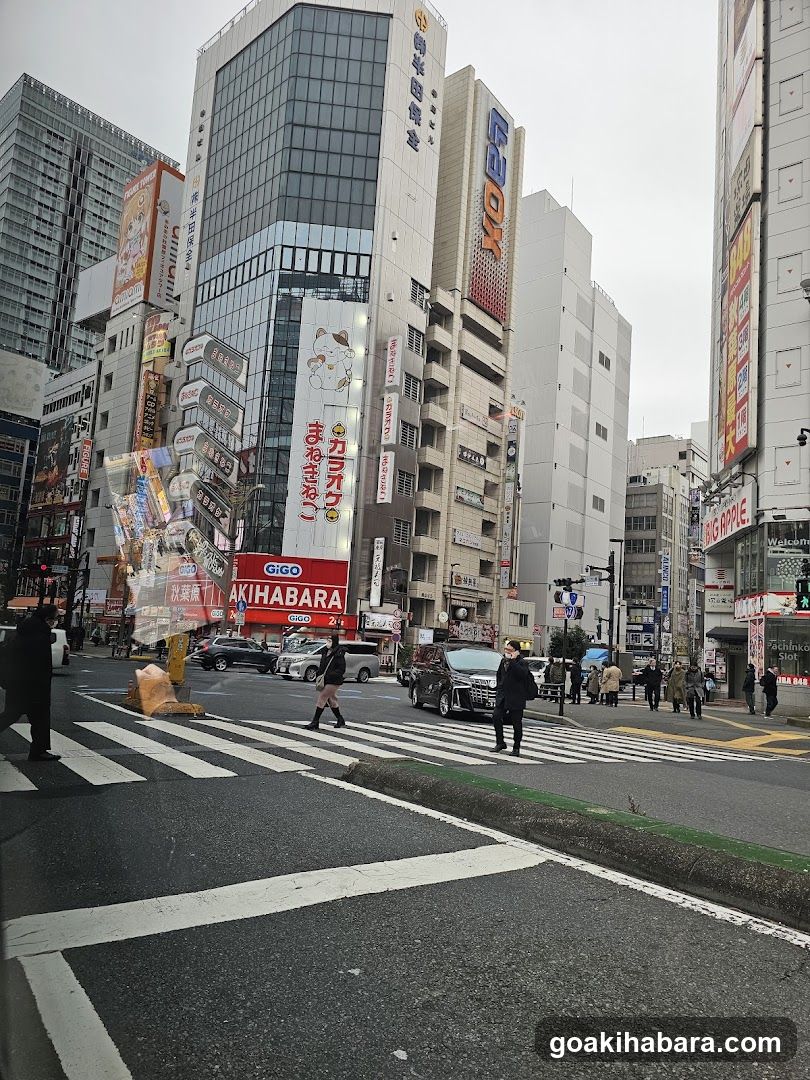 Akihabara Street Scene
