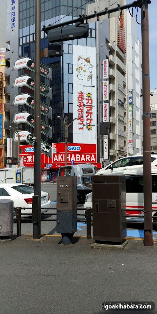 Akihabara Street Scene