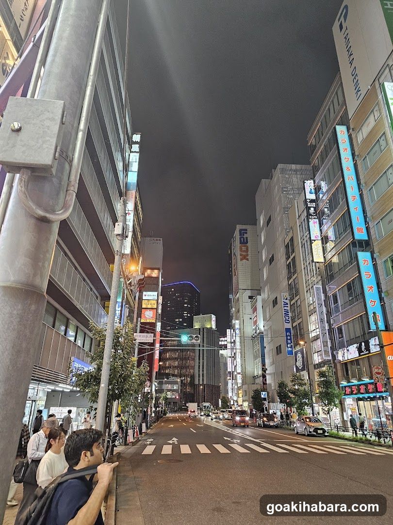 Night street scene in Japan