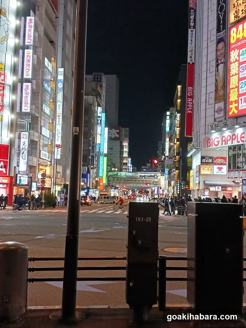 Night Street Scene with Neon Signs