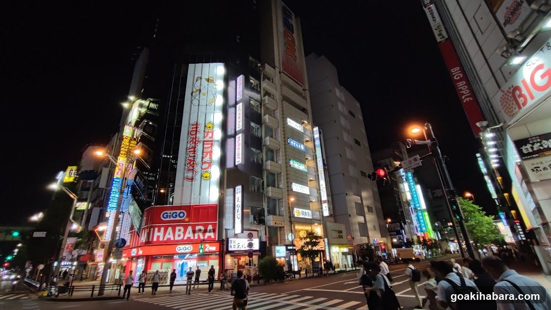 Nighttime Street Scene in Japan