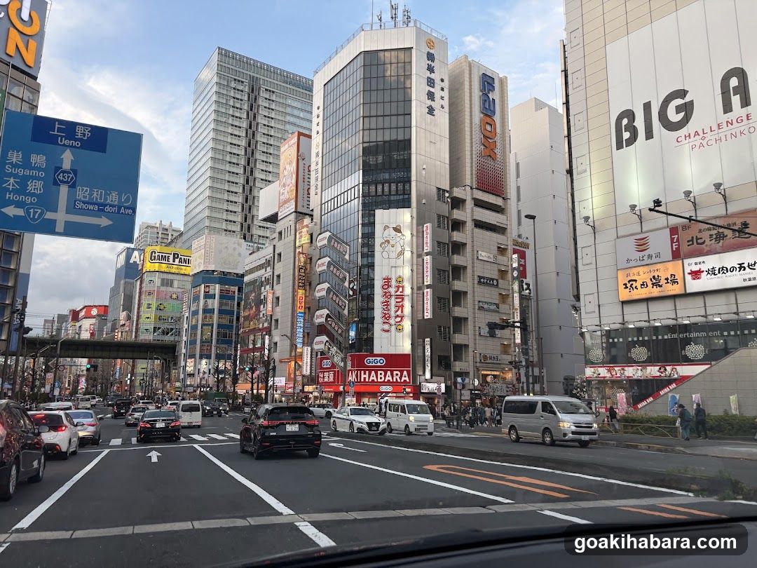 Urban Street Scene with Shops and Traffic
