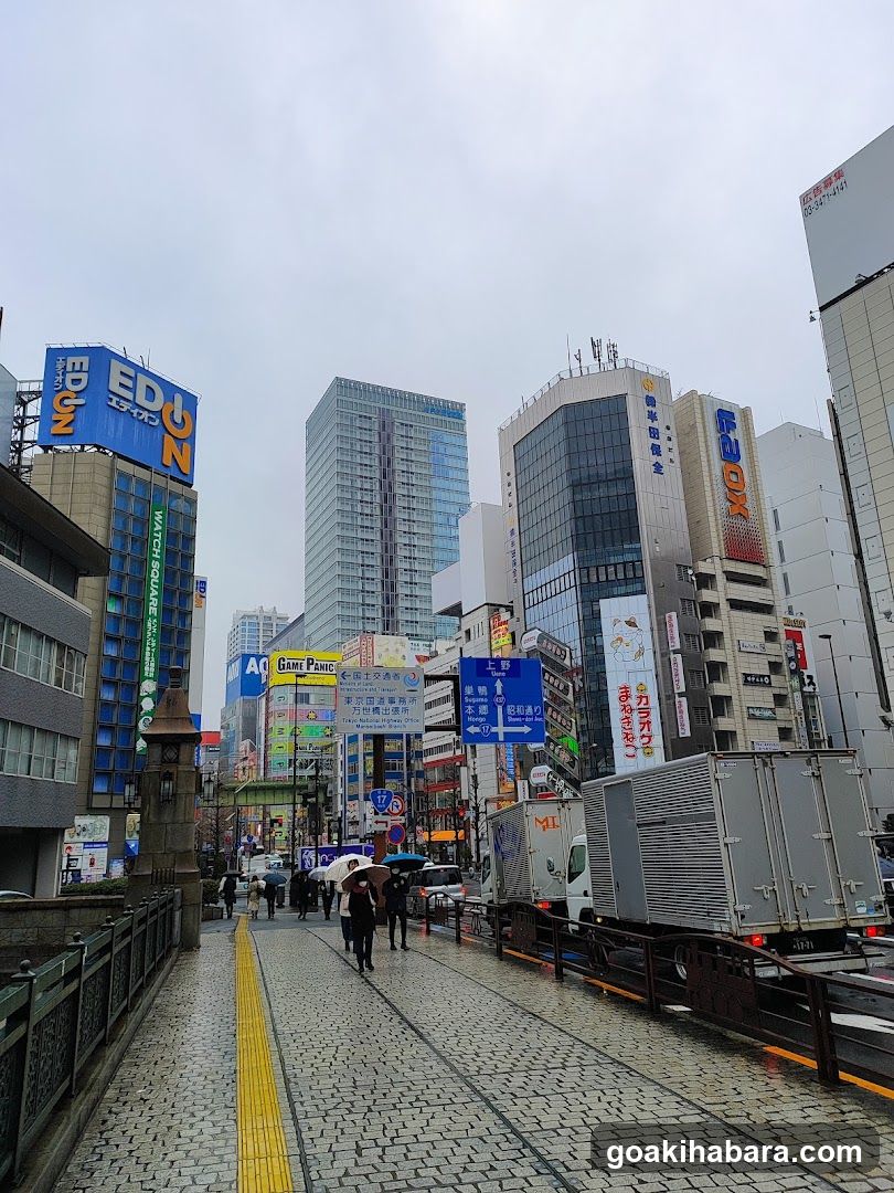 Urban Street Scene with Shops and Buildings