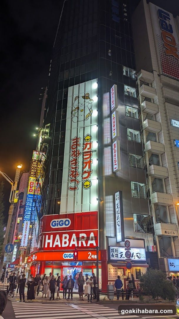 HABARA GIGO Building Night View