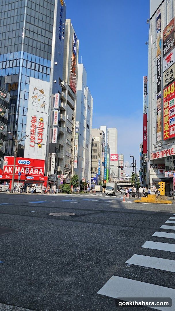 Urban Street Scene with Shops and Buildings