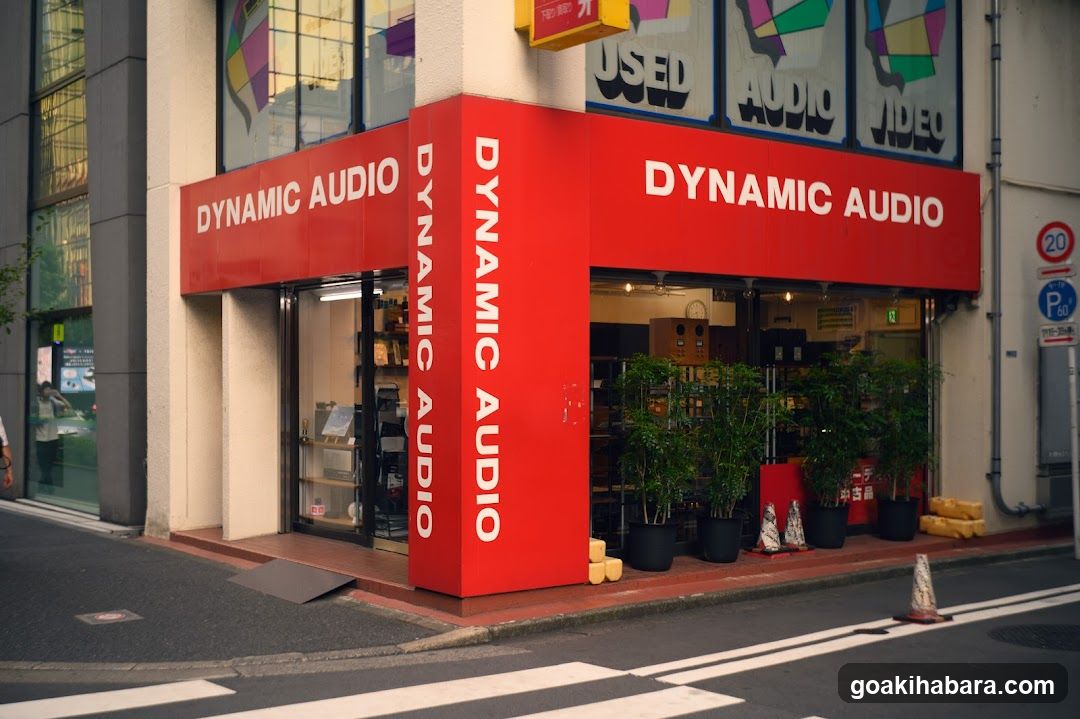 A red storefront with 'DYNAMIC AUDIO' signage on the building facade. Large glass windows display interior shelves and products. Potted plants line the entrance. A yellow sign above reads 'USED VIDEO'. Street signs visible nearby.