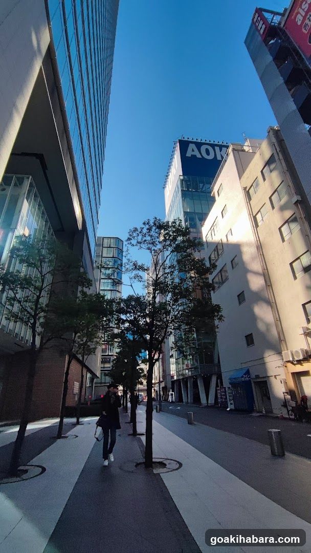 Urban Street Scene with AOK Building