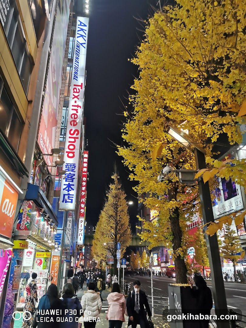 Night street scene with autumn trees and illuminated signs