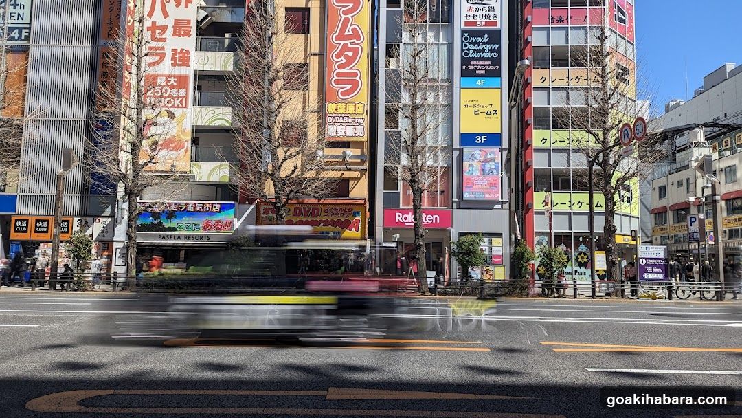 Busy Japanese Street Scene