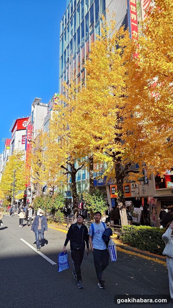 Autumn Street Scene with Pedestrians