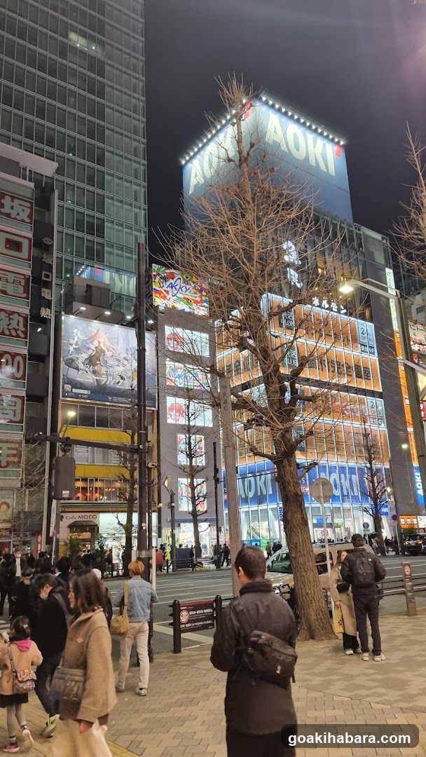 Aoki Building Exterior at Night