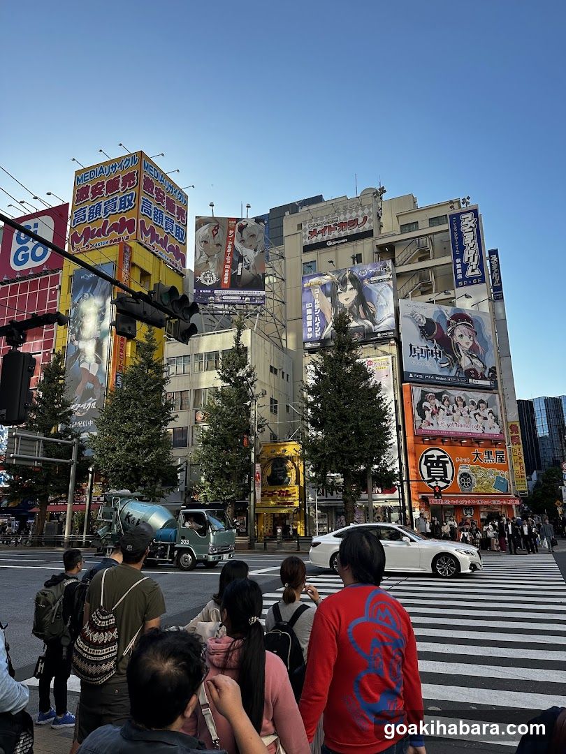 Shibuya Crossing View