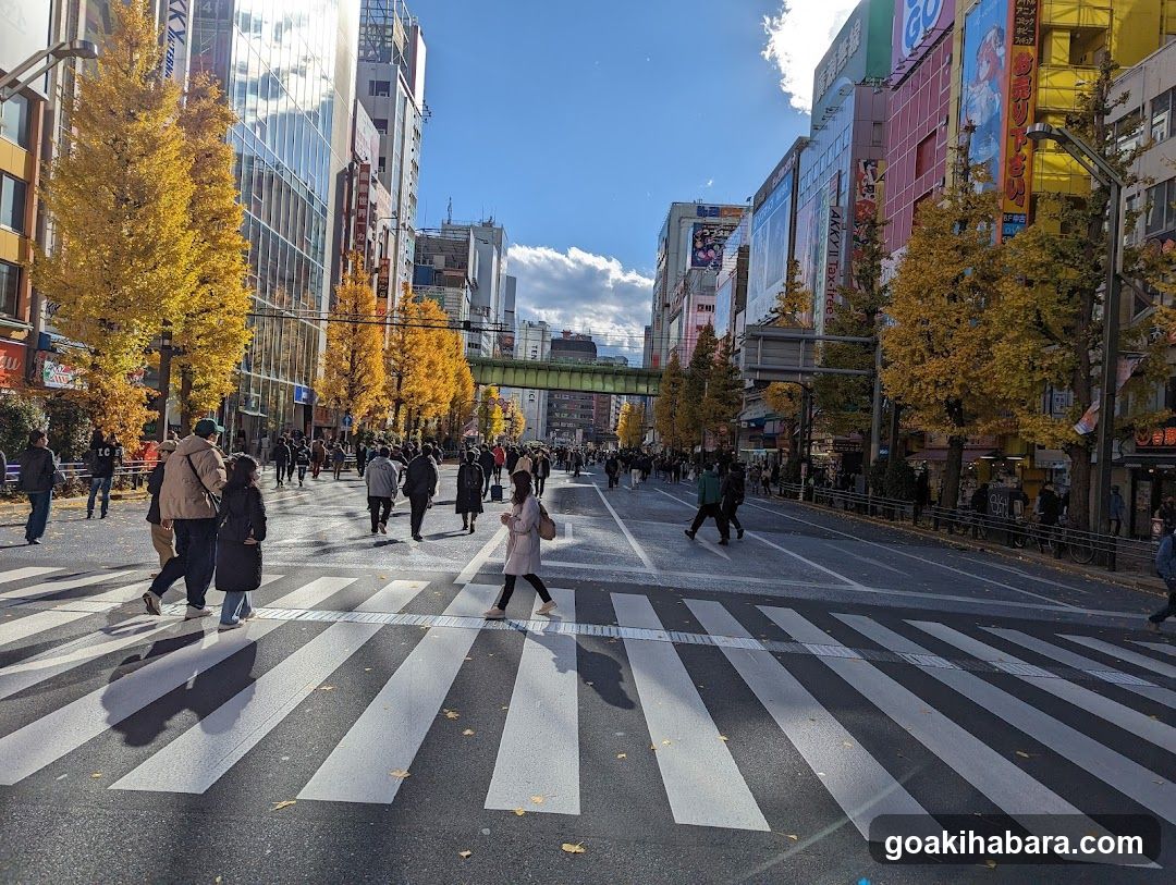 Autumn Street Crossing in Japan