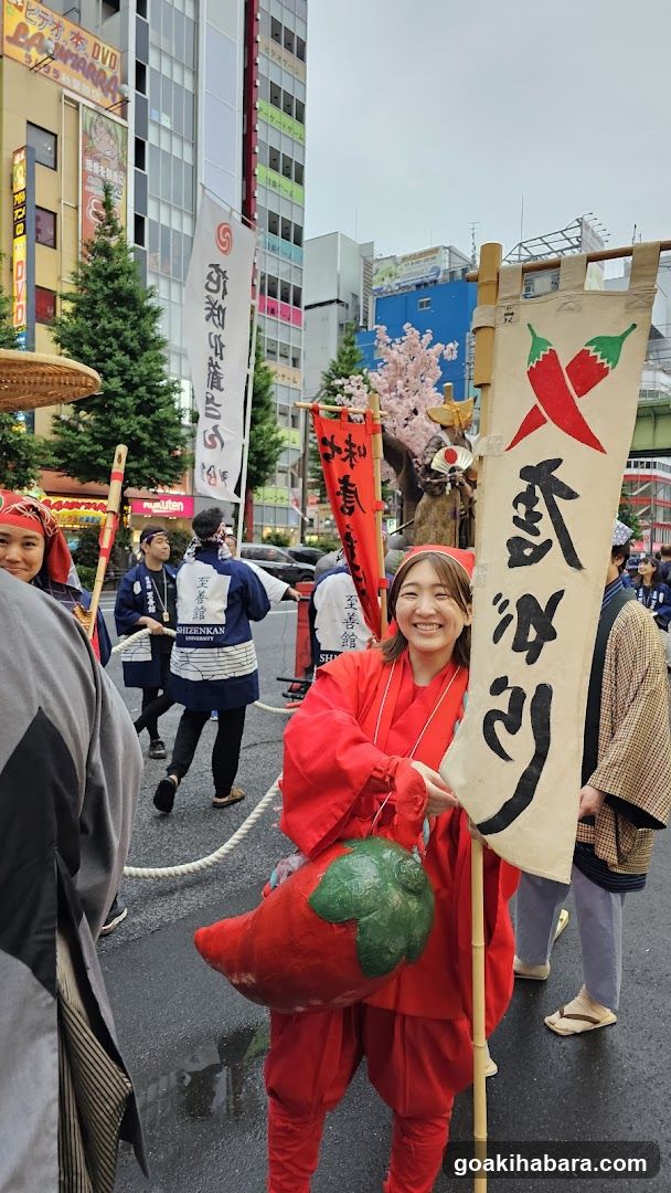 Festival Parade with Traditional Costumes