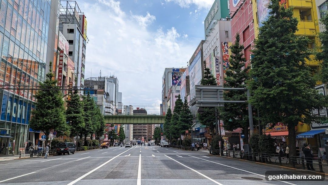 Urban Street Scene with Shops and Buildings