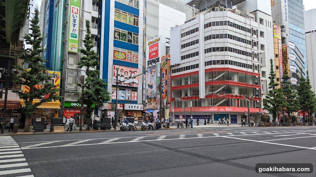 Urban Street Scene with Shops and Buildings