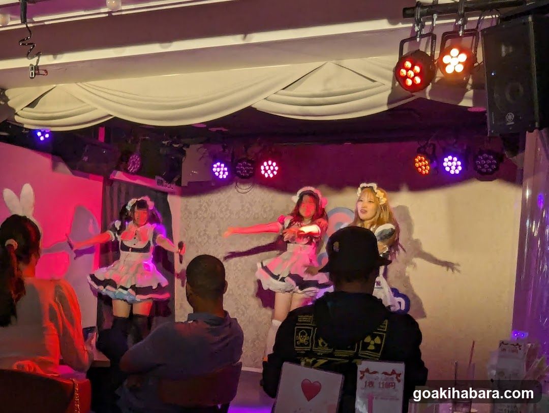 Maid Cafe Performance